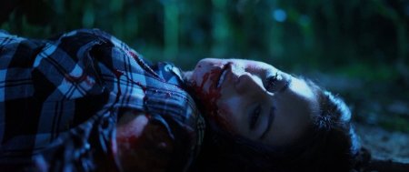 Вилы (2016)