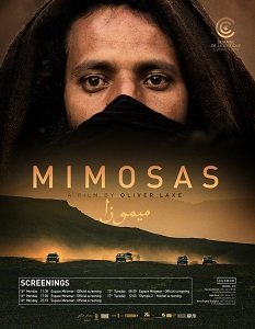 Фильм Мимозы (2016)