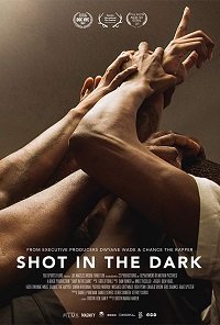 Фильм Выстрел в темноте (2017)