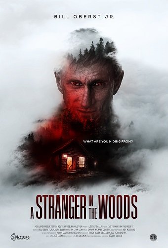 Фильм Незнакомец в лесу (2022)