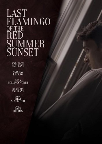 Последний фламинго красного летнего заката (2024)