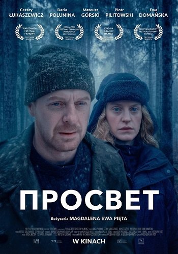 Просвет (2024)